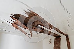 Damaged wooden built-in furniture, Home problem