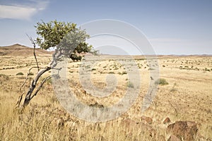 Damaraland photo