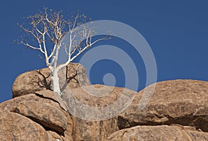 Damaraland in Namibia