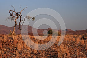 Damaraland, Namibia