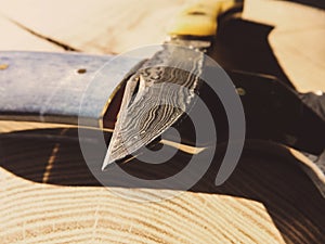 Damascuss steel knives on wooden background