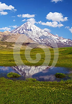 Damavand peak mirrored in a mountain pool