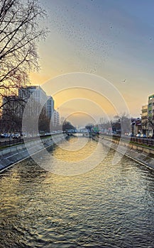 Dambovita river  - Dambovita Quay in the morning