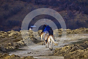 Dambovita Runcu October 19, 2021, tourists relaxing on horseback in the Leaota Mountains