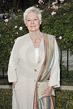 Dame Judi Dench