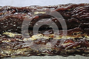 Dammar gum,damar batu Natural resources that are beautiful and expensive