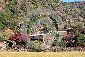 Dammuso, Pantelleria