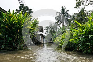 Damnoen Saduak houses