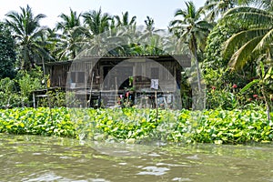 Damnoen Saduak houses