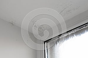 The damp is attacking the wall. mold on window. House Window With Damp And Condensation