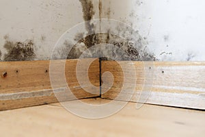 Damp buildings damaged by black mold and fungus, dampness or water. photo