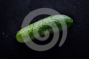 Damp fresh green cucumber on a black background with water drops.