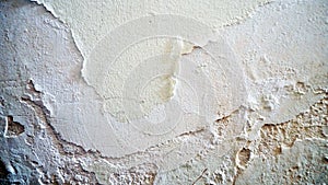 Damp and mildew on the walls, moldy walls, wall paint flaking