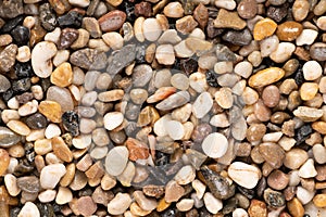 Damp Multi-Colored River Pebbles