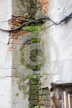 Damp and old walls of the building