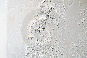 Damp Walls and mould , yellow patches and black specks covering the walls, Mold growth on wall,House Renovation, Repair and