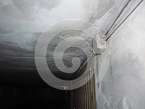 dampness moisture on ceiling with drops of water infiltration