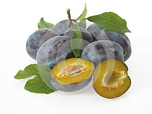 Damson plum