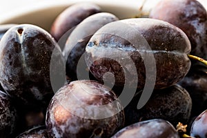 Damson Plum in a bowl.