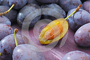 Damson plum (damascene) fruits