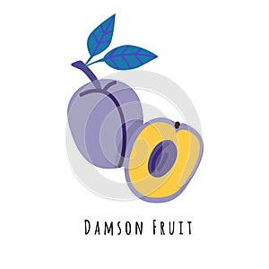 Damson plum fruit flat vector illustration