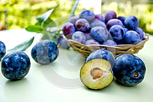 Damson - plums