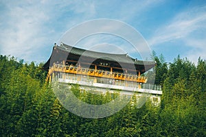 Damyang - The bamboo forest