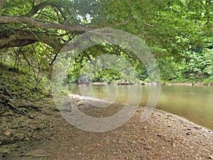 Dan River Bend photo