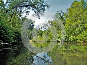 Dan River Calm Water Reflections