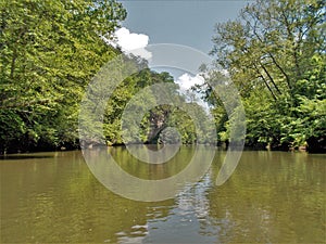 Dan River Calm Water Reflections