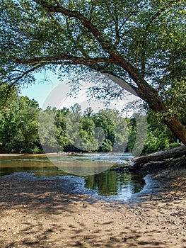 Dan River in Danbury, North Carolina