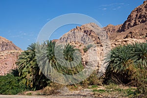 Dana biosphere reserve national parks jordan