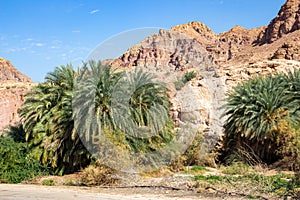 Dana biosphere reserve national parks jordan