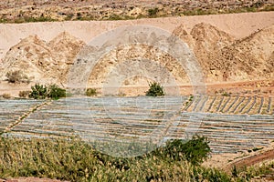 Dana biosphere reserve national parks jordan