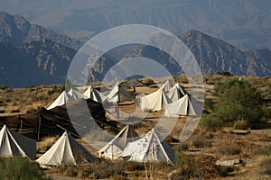 Dana Camp