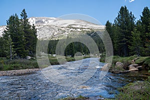 Dana Fork River in Yosemite National Park on a sunny summer day off of Tioga Pass road