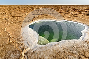 Danakil Depression, Ethiopia, Ale lake