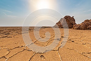 Danakil Depression, Ethiopia, Ale lake