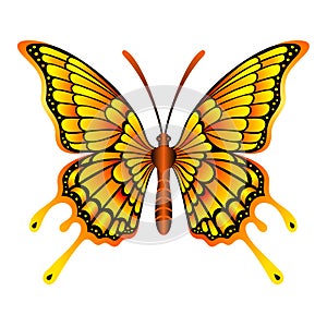 Danaus  plexippus modern butterfly vector image