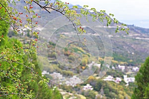 Danba Tibetan Villages in autumn, Sichuan