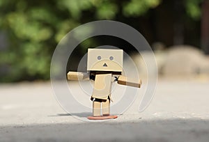 Danbo. Joy and happiness
