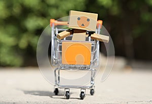 Danbo on the shopping cart