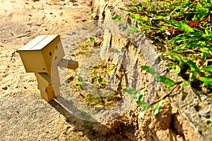 Danboard or Danbo Figure in the garden