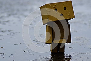 Danboard or Danbo Figure in the rain