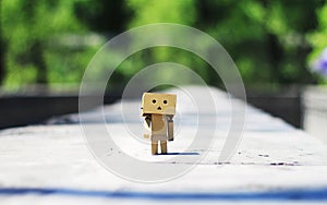 Danboard