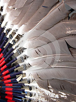 Bailar traje plumas 