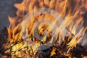 Dance of fire under the wind, ashes