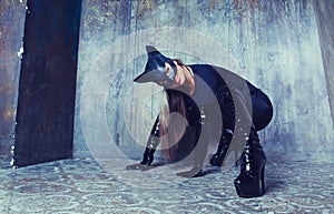 Dancer  dressed as a cat woman