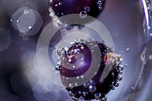 Dancing Bubbles berry