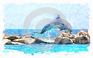 Dancing dolphin in the blue sea